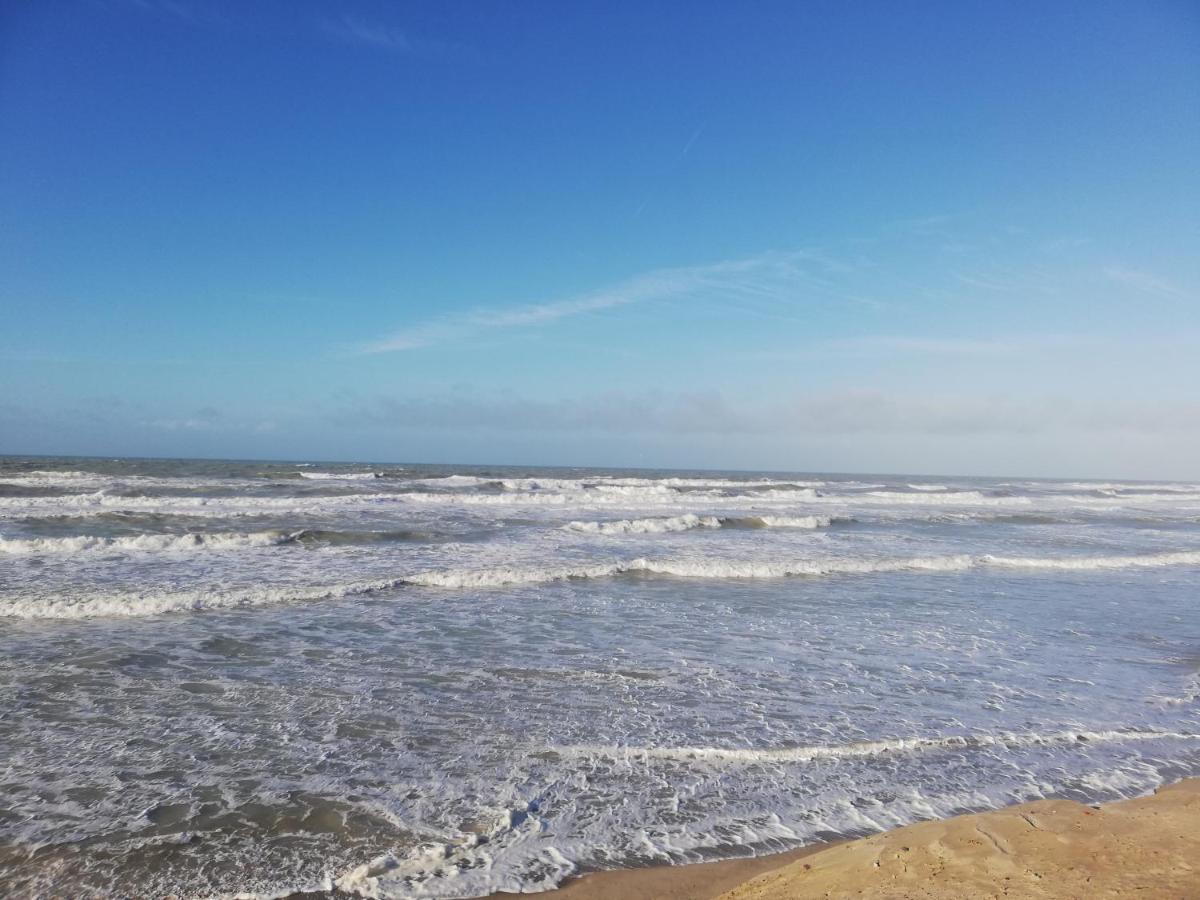 Joli Appt Cocooning Au Pied Des Dunes Apartment Berck